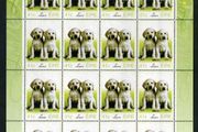 2003 Ireland Greetings (baby animals, puppies) Commemorative Stamp Sheetlet Plate 1A1A1A1A Mint Never Hinged (MNH).