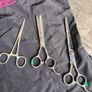 Dog grooming kit Image 2