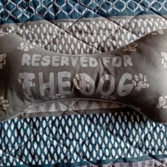 Pet Cushion