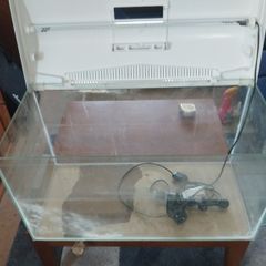 fish/reptile tank