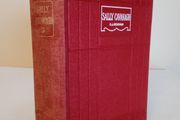 Sally Cavanagh or, The Untenanted Graves: A Tale of Tipperary by Charles J. Kickham (CP122)