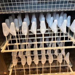 IKEA Komplement Shoe Rack for PAX Wardrobe x 3 RARE