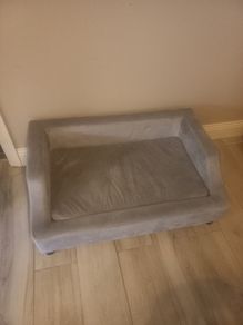 Dogs bed
