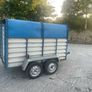 8x4 Cow Box Image 2