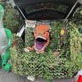 MULTIPLE COLOURS AVAILABLE | Bulk Roll Camo Netting For Hunting Military Decoration Sunshade Image 7