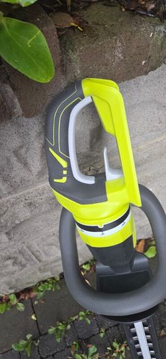 Ryobi hedge