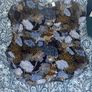 Bundle of women's tops size 14 Image 4