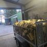 Firewood Image 5