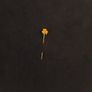 Vintage Shamrock Stick Pin Image 2
