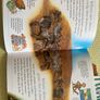 I Wonder Why set of 12 Educational Books Image 4