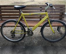 Bicycle Raleigh