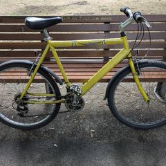 Bicycle Raleigh