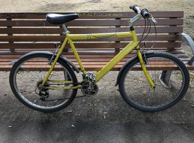 Bicycle Raleigh