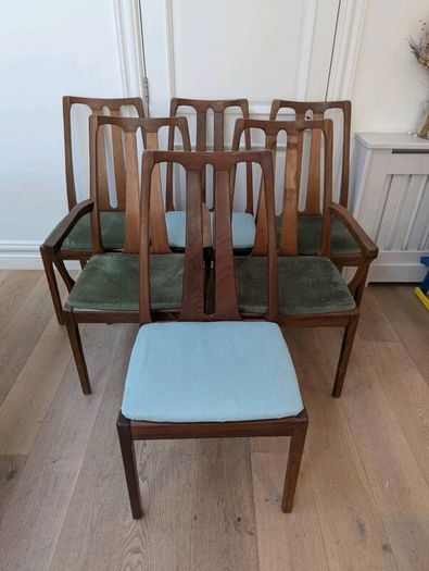 Mid Century Dining Chairs