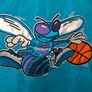 Very rare vintage 1990s Charlotte Hornets jacket size large Image 10