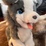 Hasbro FurReal pup Interactive  Ricky Image 2