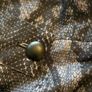 Pretty Little Thing Plus Snake Print Skirt - Size  20 - New With Tags Image 3