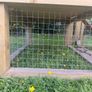 Chicken coop Image 2
