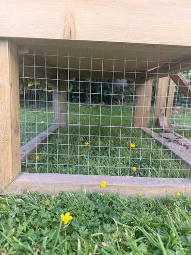 Chicken coop