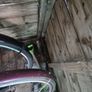 Shed Image 6