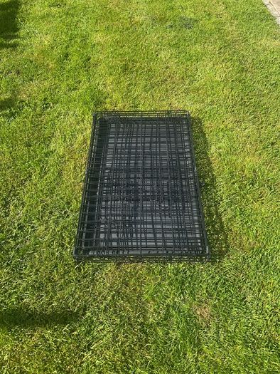 dog crate