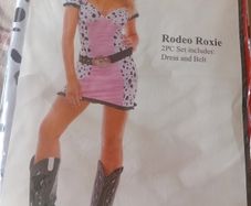 Fancydress Cowgirl Costume