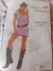 Fancydress Costume