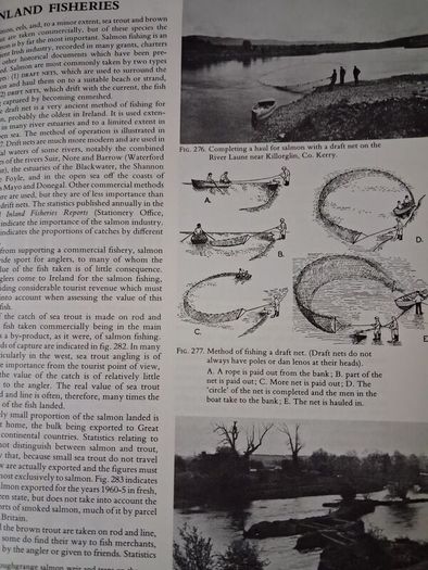 Encyclopaedia of Ireland / Figgis / 1st ed., / 1968