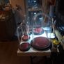 Vintage Glass Domes,Taxidermy or Interior Design. Image 2