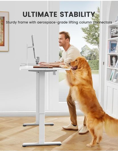 Electric Standing Desk Height Adjustable 120 x 60cm