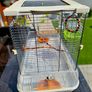 Vision by Hagen double bird cage. Image 6