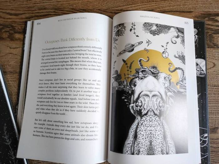 Amazing Octopus: Creature From an Unknown World  by Michael Stavaric, Age 9+