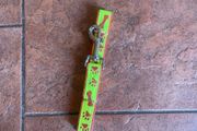 New luminous dog lead