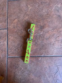 New luminous dog lead