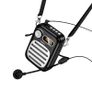 Mic Lemony BT Speaker with Wired Microphone Image 2