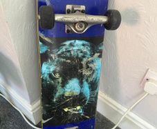 Skateboard (Independent Trucks & Bones Wheels)