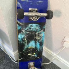 Skateboard (Independent Trucks & Bones Wheels)