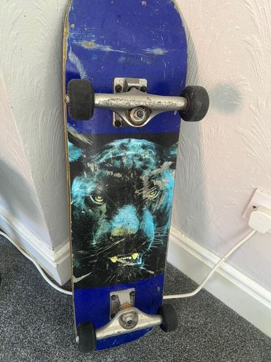 Skateboard (Independent Trucks & Bones Wheels)
