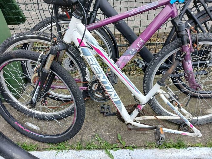 ladies bike
