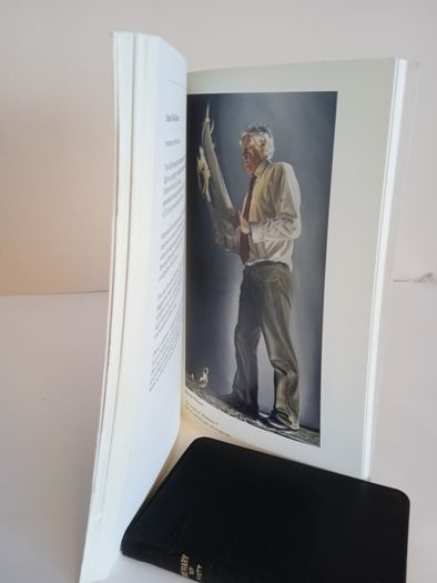 Poetry Ireland Review 118: The Rising Generation Edited by Vona Groarke (RB47)