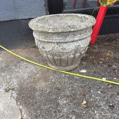 plant pot