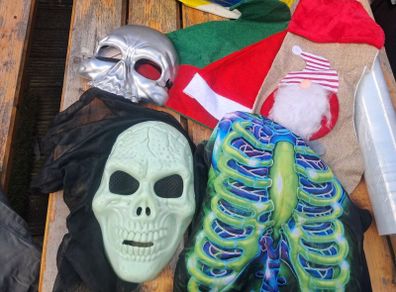 Halloween Costumes