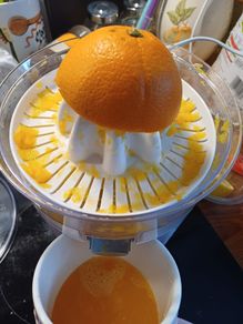 Citrus Fruit Juicer