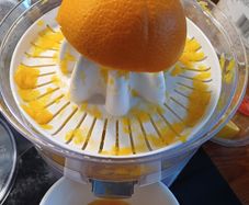 Citrus Fruit Juicer