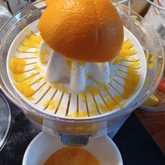 Citrus Fruit Juicer