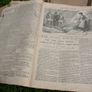 Very Rare - Collection "The Irish Emerald" 1895-1897 Image 6