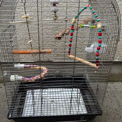 cage ( birds/parrots)