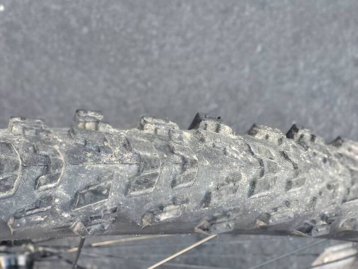 Giant Rock Large Bike