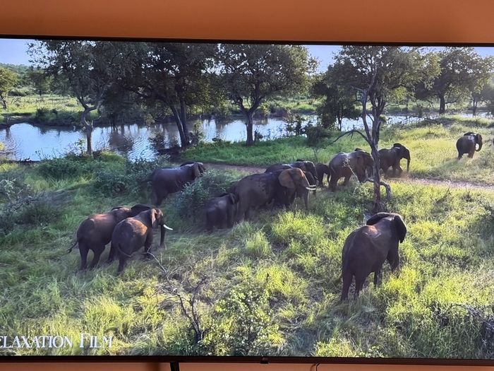Lg 75" 4K Smart TV 2024 ModelPristine Condition