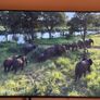 Lg 75" 4K Smart TV 2024 ModelPristine Condition Image 8